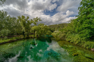 Scenic view of lake by trees against sky