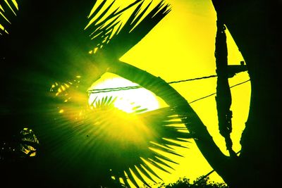 Low angle view of palm tree against sky