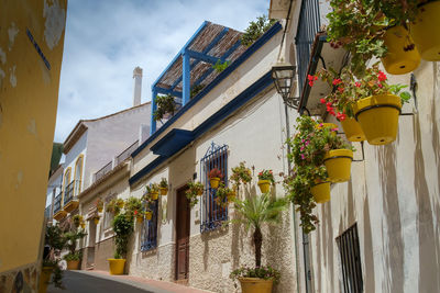 The narrow streets of estepona, spain, each street has flower pots of a different colour.