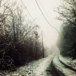 Country road along trees