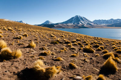 Scenic view of landscape against clear sky