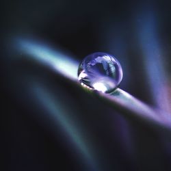 Close-up of water drops on blue background