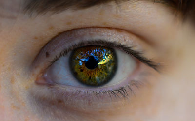 Close-up of human eye