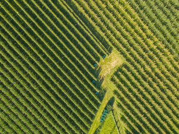 Full frame shot of farm