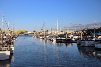 Sailboats moored in harbor