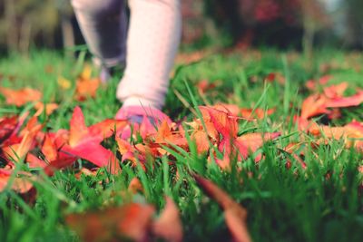 Low section of girl walking grass during autumn