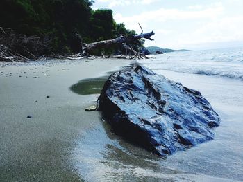 Driftwood on rock by sea against sky