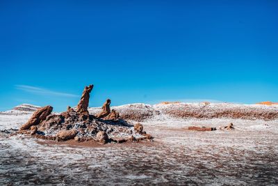 Man on landscape against clear sky