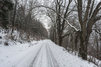 Snow covered road amidst trees during winter