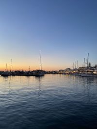 Sailboats in marina at sunset