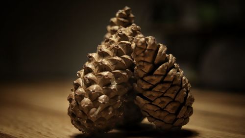 Close-up of pine cone on table