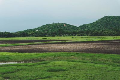 Scenic view of field against sky