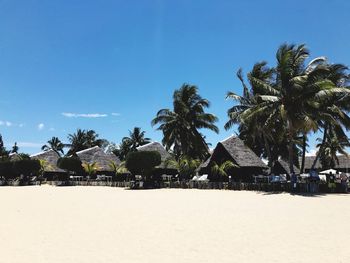 Scenic view of palm trees on beach against blue sky