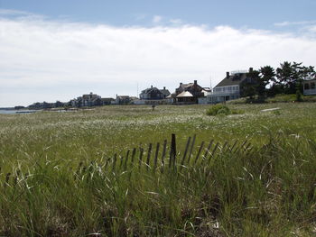 Scenic view of grassy field against cloudy sky