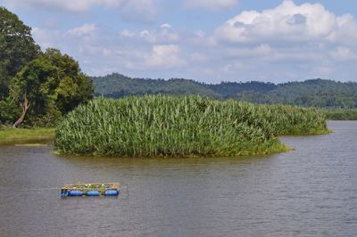 Scenic view of river against sky