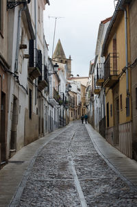 Rear view of people walking in alley amidst buildings