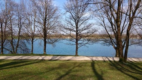 Reflection of trees in lake