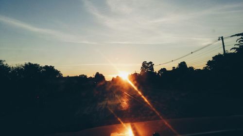 Silhouette of trees at sunset