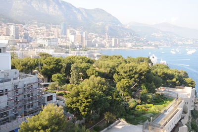 High angle view of trees and buildings in city