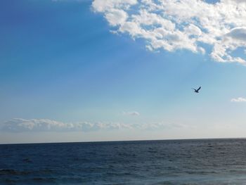 Seagull flying over sea against sky