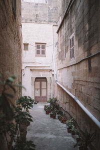 Narrow alley amidst buildings in city