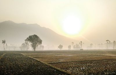 Scenic view of field against sky