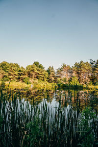 Scenic view of lake against clear sky