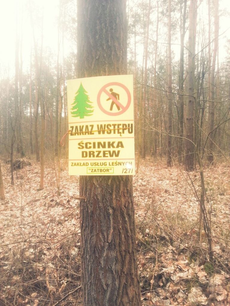 text, western script, tree, communication, tree trunk, information sign, forest, growth, non-western script, nature, wood - material, field, capital letter, sign, information, day, tranquility, no people, outdoors, message