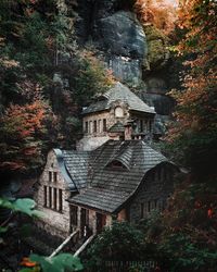 Trees and houses in forest during autumn