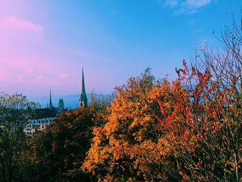 View of plants against blue sky