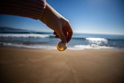 Close-up of hand holding shell at beach against sky