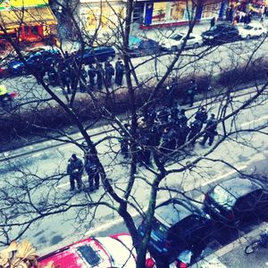 Bare trees against sky