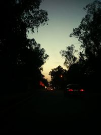 Road with trees in background