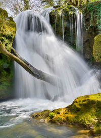 Scenic view of waterfall in forest