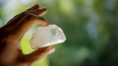 Close-up of hand holding leaf