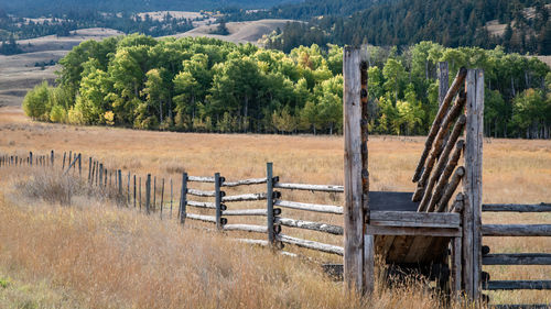 Fence on field against trees in forest