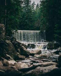 Scenic view of waterfall in forest