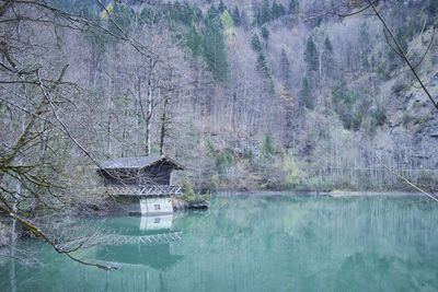 Scenic view of lake against bare trees