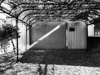 Plants and trees against built structure