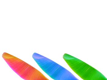 Low angle view of multi colored pencils against white background