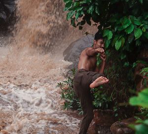 jungle