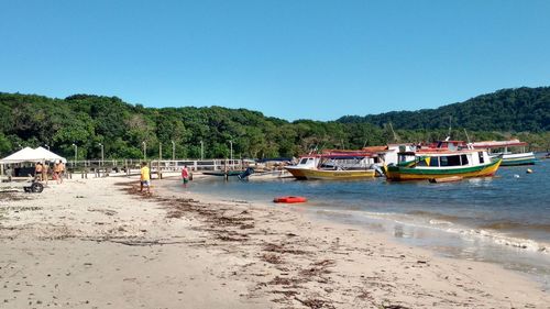 Scenic view of beach against clear sky