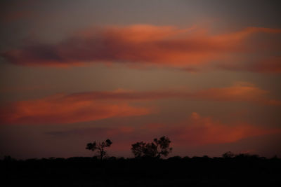 Low angle view of silhouette trees against dramatic sky