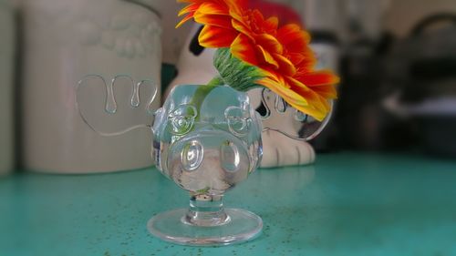 Close-up of flower in glass vase on table