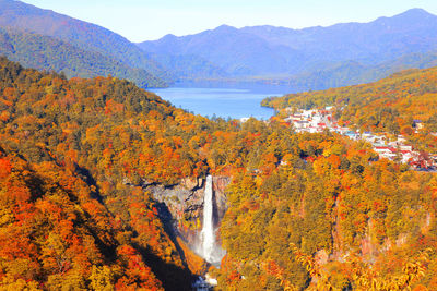 Scenic view of river amidst trees in forest during autumn