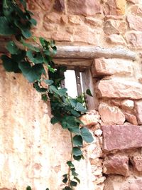Close-up of stone wall