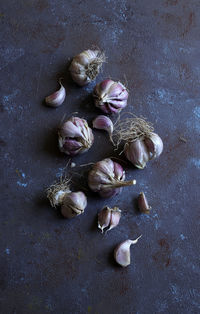 High angle view of eggs on table