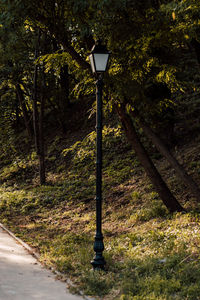 Street light on road amidst trees