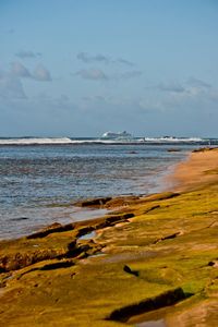 Scenic view of beach against sky