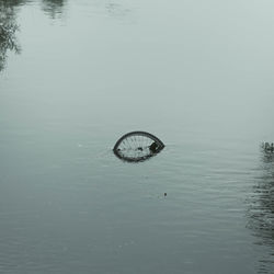 Bicycle in lake